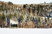 Isolated wood cabin luxury suite among vegetation covered with snow in winter, Arctic Bath Hotel, Harads, Lapland, Sweden
