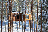 Holzchalet für Touristen inmitten eines verschneiten Waldes, Tree Hotel, Harads, Lappland, Schweden