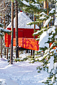 Red cottage in the winter forest covered with snow, accommodation for tourists of the Tree hotel, Harads, Lapland, Sweden