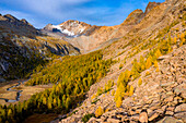 Autumn at Predarossa in front of Monte Disgrazia, Valtellina, Province of Sondrio, Lombardy, Italy, Western Europe