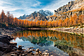Lago Nero at Alpe Devero in autumn, Piedmont, Italy, Western Europe