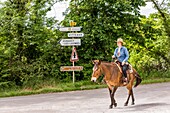 Rider on her horse, flavigny sur ozerain, (21) cote-d'or, burgundy, france