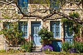 Flowery house, flavigny sur ozerain, (21) cote-d'or, burgundy, france