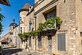 Dorf und ewiger hügel von vezelay, (89) yonne, bourgundy, frankreich