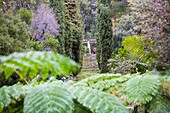 Domaine du rayol, les mediterranees garden, le rayol canadel sur mer