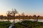 Khwai-Fluss, Okavango-Delta, Botsuana