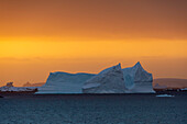 An iceberg at sunset in the Lemaire channel, Antarctica. Antarctica.