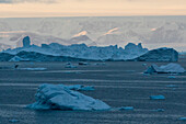 Eisberge bei Sonnenuntergang im Weddell-Meer, Antarktis.