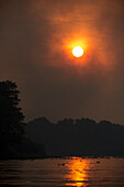 Die Sonne geht inmitten des Rauchs des Waldes unter, der während eines der Brände brennt, die das Pantanal jedes Jahr heimsuchen. Rio Cuiaba, Pantanal, Mato Grosso, Brasilien.