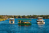 Touristen auf Ausflugsbooten auf dem Chobe-Fluss. Chobe-Fluss, Chobe-Nationalpark, Kasane, Botsuana.