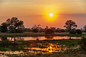 Ein malerischer Sonnenuntergang über dem Khwai-Fluss. Khwai-Fluss, Okavango-Delta, Botsuana.