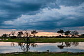 Ein Gewitter nähert sich dem Okavango-Delta. Khwai-Konzessionsgebiet, Okavango, Botsuana.