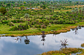 Eine Luftaufnahme der Überschwemmungsgebiete des Okavango-Deltas. Okavango-Delta, Botsuana.