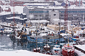 Fishing boats in the harbor during a snow storm. Ilulissat, Greenland.