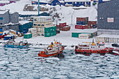Fischerboote im zugefrorenen Hafen während eines Schneesturms. Ilulissat, Grönland.