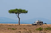 Ein Touristensafari-Fahrzeug auf einer Pirschfahrt in der Masai Mara-Savanne. Masai Mara-Nationalreservat, Kenia.