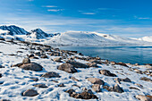 Schneebedeckte Felsstrände und Berge säumen den Bockfjord. Bockfjord, Insel Spitzbergen, Svalbard, Norwegen.