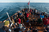 Cruise tourists celebrate crossing 80 degrees North near the island of Moffen. Moffen, Svalbard, Norway.
