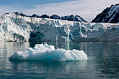 Ice floe in arctic waters fronting Lilliehook Glacier. Lilliehookfjorden, Spitsbergen Island, Svalbard, Norway.