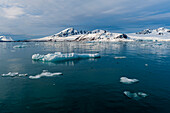 Ice floe in arctic waters fronting Lilliehook Glacier. Lilliehookfjorden, Spitsbergen Island, Svalbard, Norway.