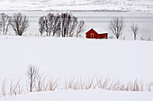 Ein einsames rotes Haus in einer verschneiten Winterlandschaft. Fornes, Vesteralen-Inseln, Nordland, Norwegen.