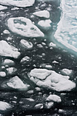 Eisschollen im Arktischen Ozean. Nordpolare Eiskappe, Arktischer Ozean