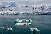 Ein Blick auf den Isbjornhamna-Gletscher. Svalbard, Norwegen