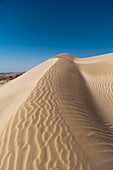 Die weißen Sanddünen der Khaluf-Wüste. Khaluf-Wüste, Arabische Halbinsel, Oman.