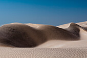 Rippled white sand dunes of the Khaluf Desert. Khaluf Desert, Arabian Peninsula, Oman.