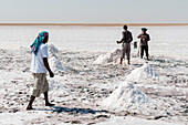 Men harvesting salt in the salt flats near Shannah. Shannah, Oman.