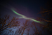 Niedriger Blickwinkel auf Aurora borealis bei Nacht. Schweden.