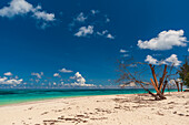 A sandy tropical beach on the Indian Ocean. Denis Island, The Republic of the Seychelles.