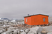 Antarktis, Antarktische Halbinsel, Lemaire-Kanal, Petermann-Insel, Notunterkunft.