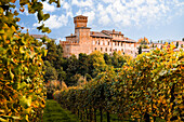 Schloss Levizzano Rangone und Lambrusco-Weinberge, Provinz Modena, Emilia Romagna, Italien