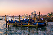 Gondeln vor der Kirche Santa Maria della Salute, Venedig, Venetien, Italien