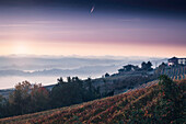 Sternschnuppe in den Weinbergen von Langhe-Monferrato, Provinz Cuneo, Piemont, Italien