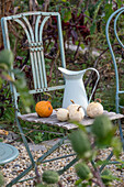 Autumn still life, ornamental pumpkin on garden chair and water jug