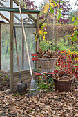 Gartenarbeit, Herbstlaub zusammenrechen, Laubkörbe und Rechen