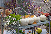 Herbstdeko mit Zierkürbis und Schneebeeren (Symphoricarpos albus) auf Regal