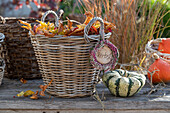 Ornamental pumpkin next to a wicker basket with autumn leaves and a wreath of heather (Calluna vulgaris)