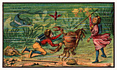 Crab hunting, illustration