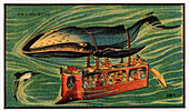 Whale bus, illustration