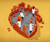 Rebuilding a heart, conceptual illustration