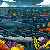 Oceans, conceptual illustration
