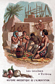 Food in Ancient Egypt, illustration