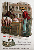 Foie gras, illustration