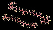 Molecular model of beta-carotene, illustration