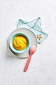 Pumpkin puree for babies