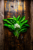Bärlauch mit Blüte auf rustikalem Holzuntergrund