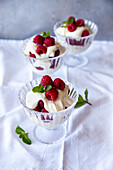 Raspberry and cream dessert with mint